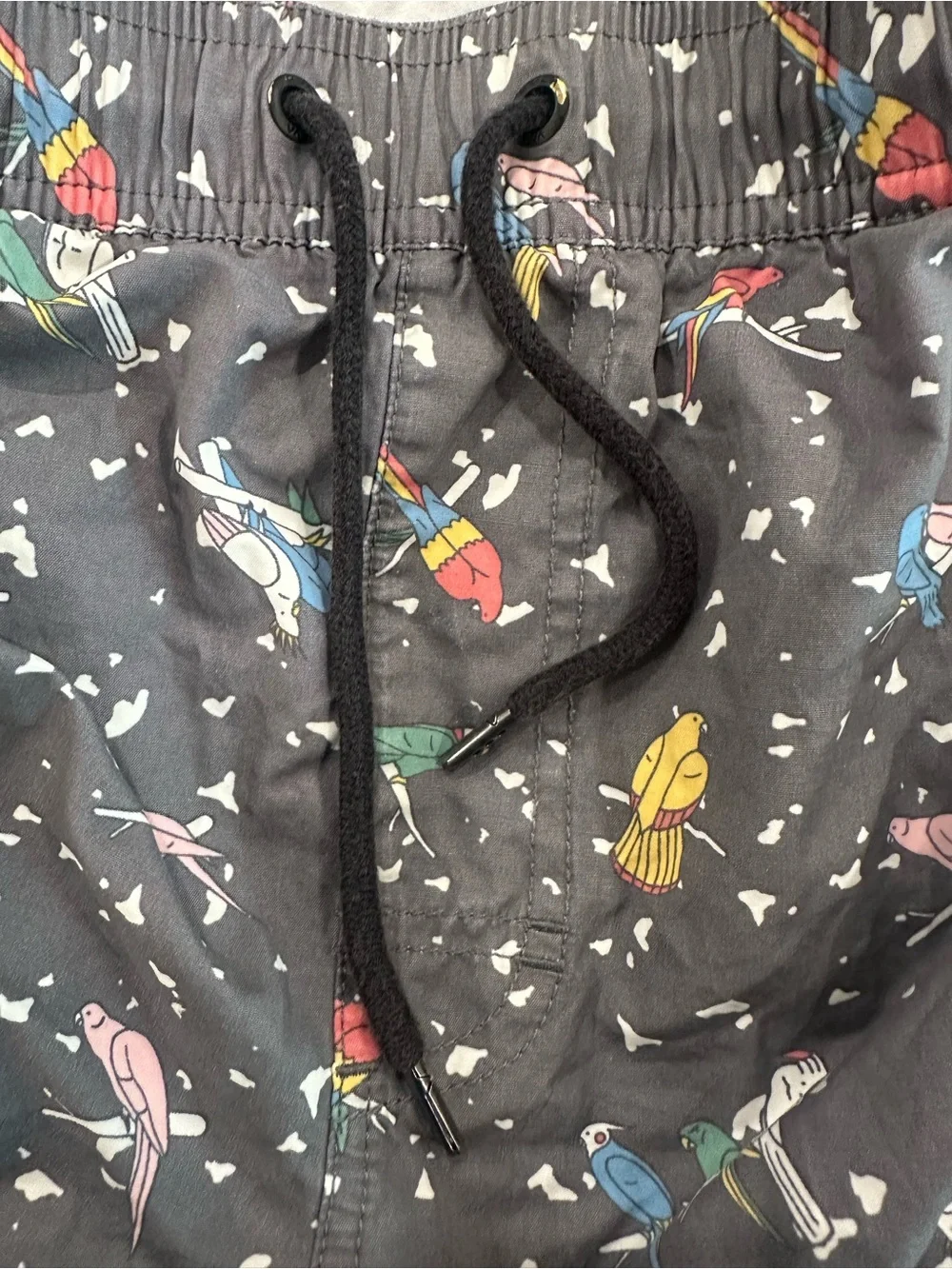 RVCA Charcoal Swim Shorts with Multicolor Parrot Print